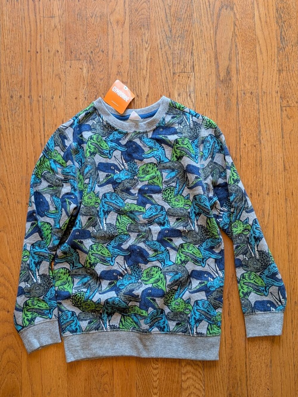 Gymboree Dinosaur Sweatshirt